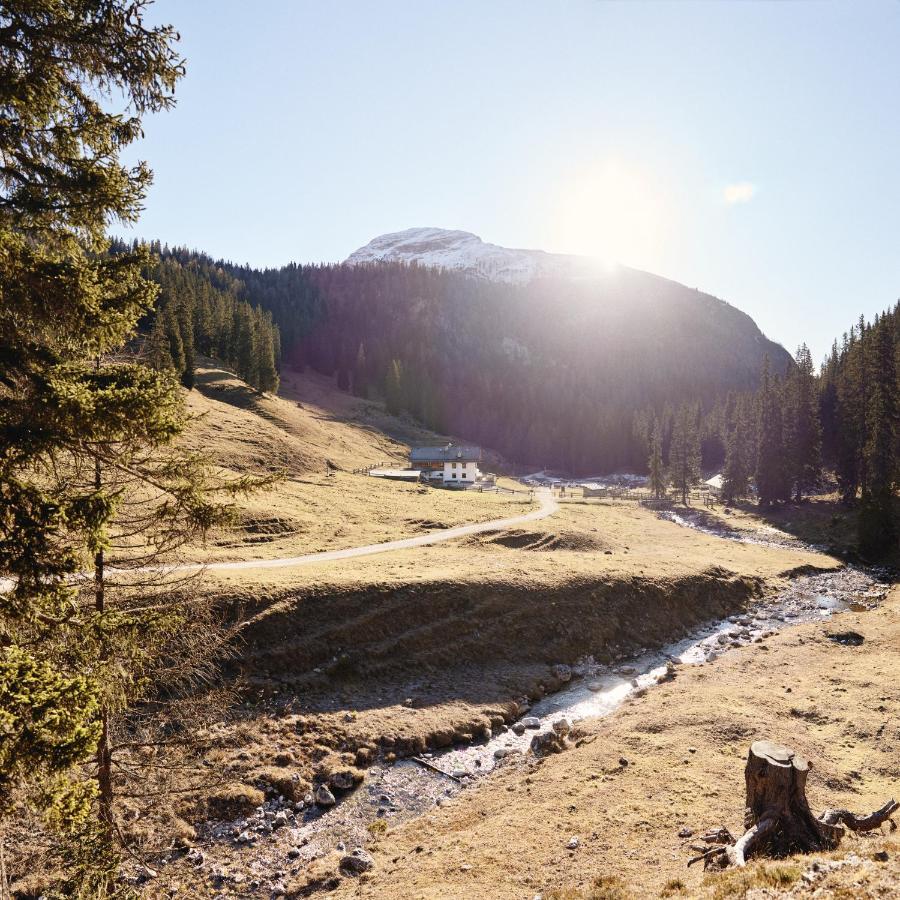 Rifugio Malga Ra Stua Villa Cortina d'Ampezzo Ngoại thất bức ảnh