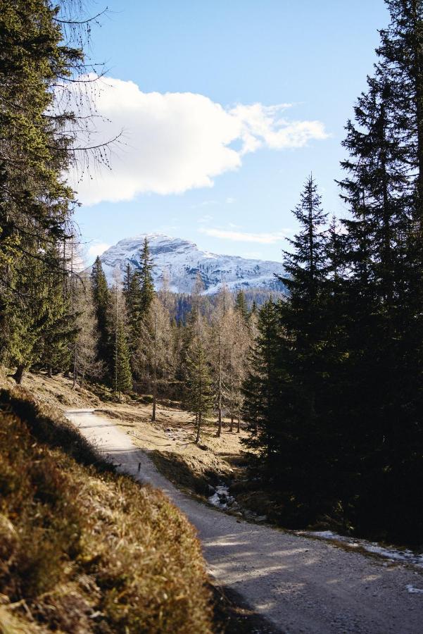 Rifugio Malga Ra Stua Villa Cortina d'Ampezzo Ngoại thất bức ảnh
