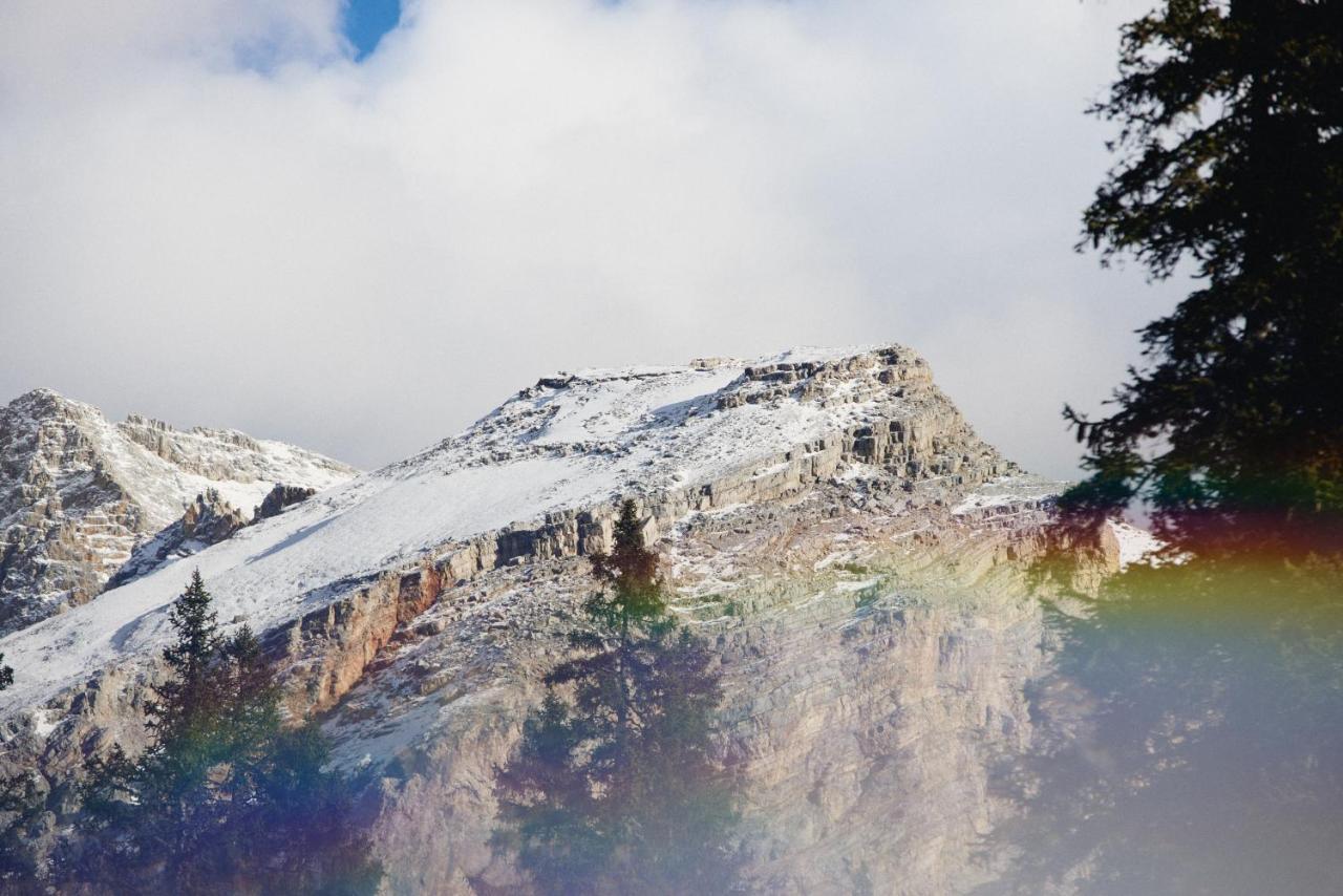 Rifugio Malga Ra Stua Villa Cortina d'Ampezzo Ngoại thất bức ảnh